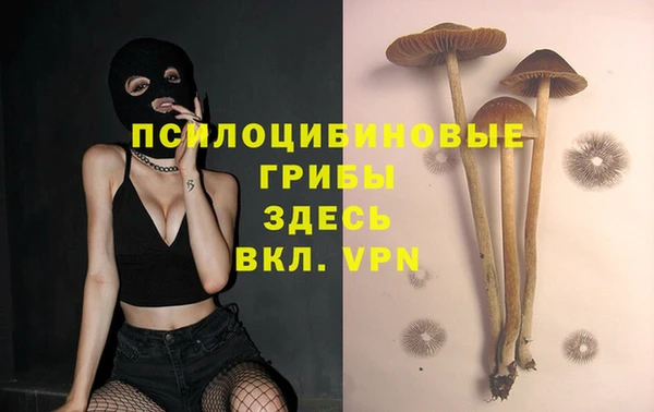 кокс Богданович