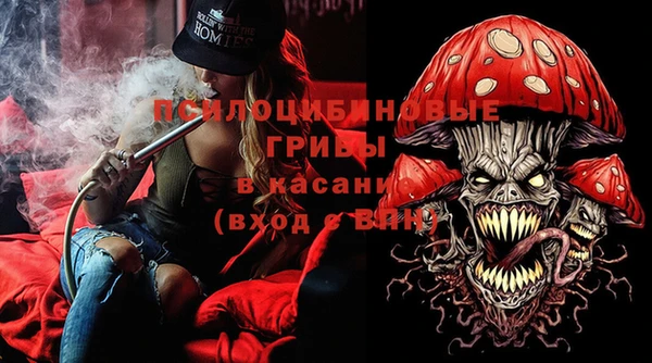 ГАЛЛЮЦИНОГЕННЫЕ ГРИБЫ Богородицк