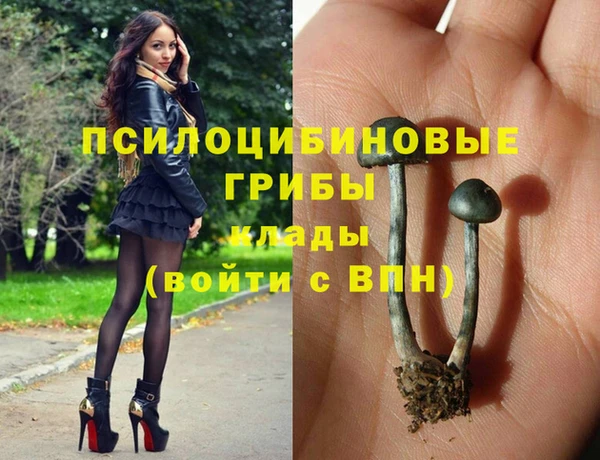 2c-b Лагань