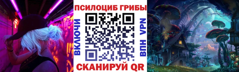 Псилоцибиновые грибы GOLDEN TEACHER  Купить закладки  Катайск 